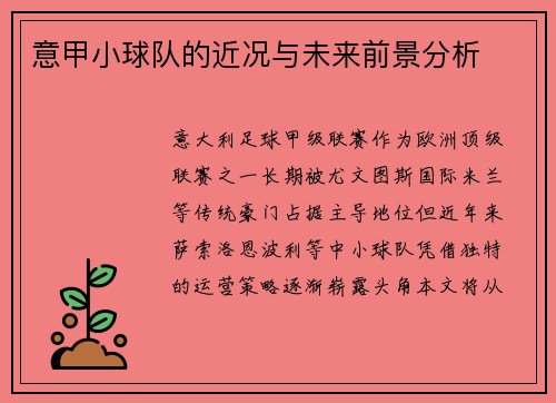 意甲小球队的近况与未来前景分析