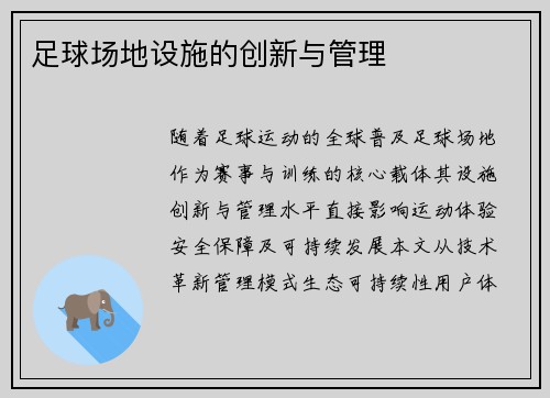 足球场地设施的创新与管理