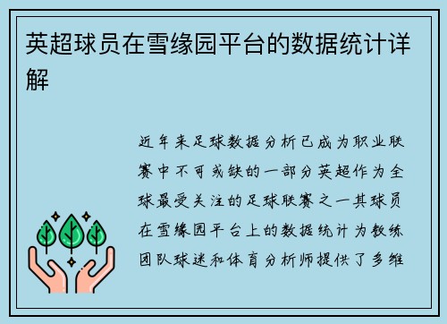 英超球员在雪缘园平台的数据统计详解