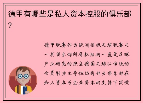 德甲有哪些是私人资本控股的俱乐部？