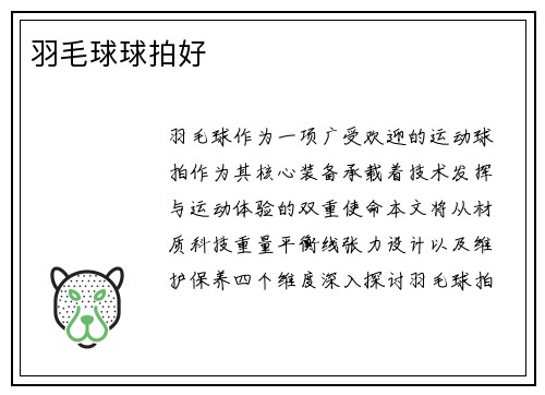 羽毛球球拍好